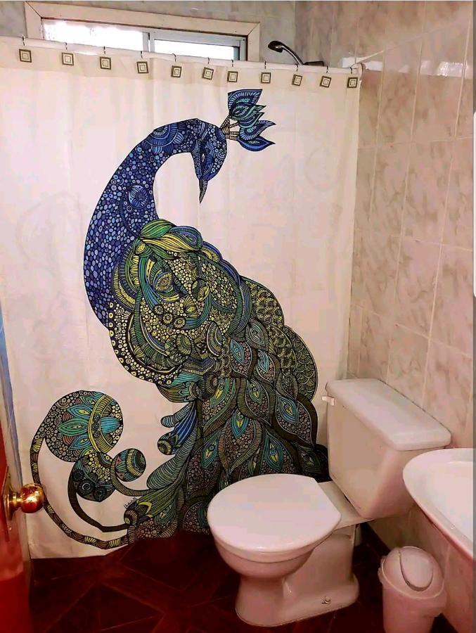 Cabana Con Tinaja Caliente, Quincho Y Pet Friendly Isla Negra 외부 사진